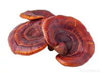 Sada PŘÍRODNÍ IMUNITA | PODPORA OBRANYSCHOPNOSTI | acerola, hlíva a reishi