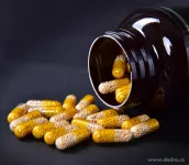 VITAMIN C 500 mg se šípkem | postupné uvolňování + 25 mg šípkového extraktu | 100 kapslí