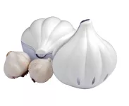 Dóza na čerstvý česnek