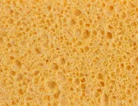 2+1 ZDARMA | COCO CELL | Houbička z jemné celulózy s přírodní kokosovou vrstvou | 3 kusy