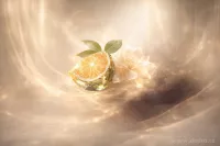 POMPON | luxusní vonný střapec s bytovým parfémem | MY HOME | PARFUMIA®